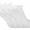 Sock Snob 3 Pairs Men's Thick Cushioned Low Cut Ankle Thermal Trainer Socks - Cream